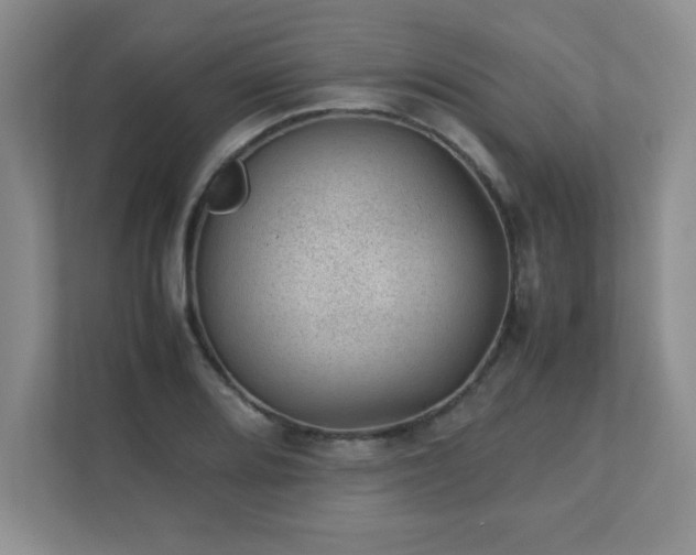 X0000111391080200907101141