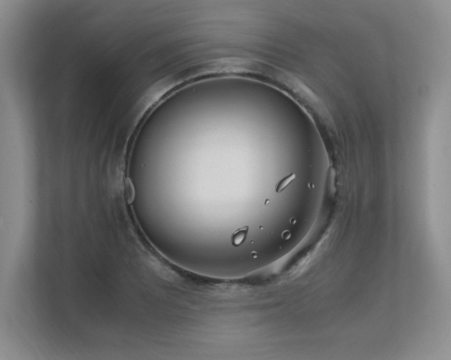 X0000111391081200907101141