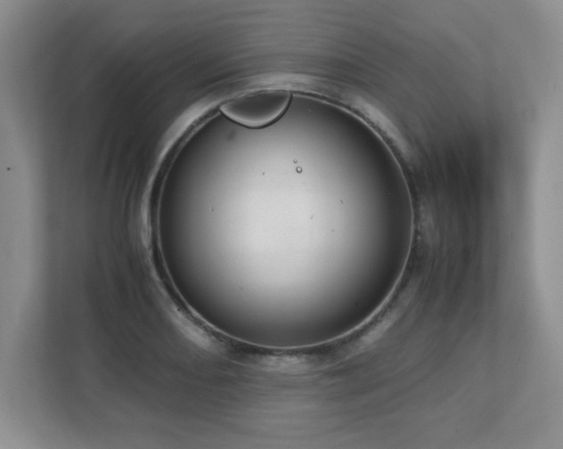 X0000111391082200907101141