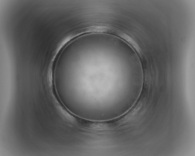 X0000111391083200907101141