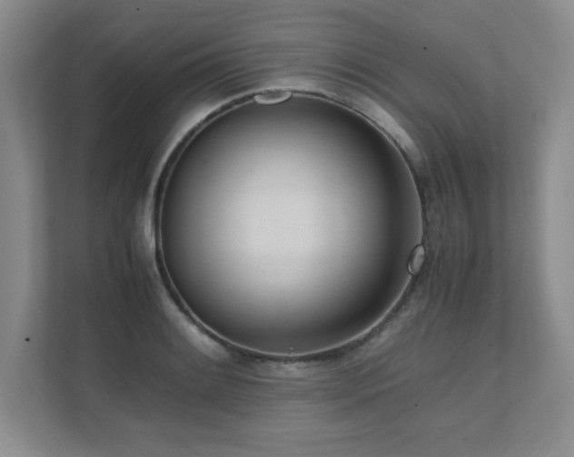 X0000111391084200907101141