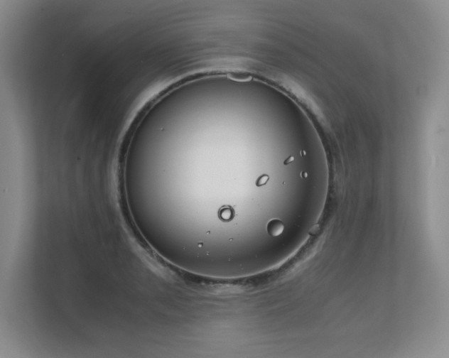X0000111391085200907101141