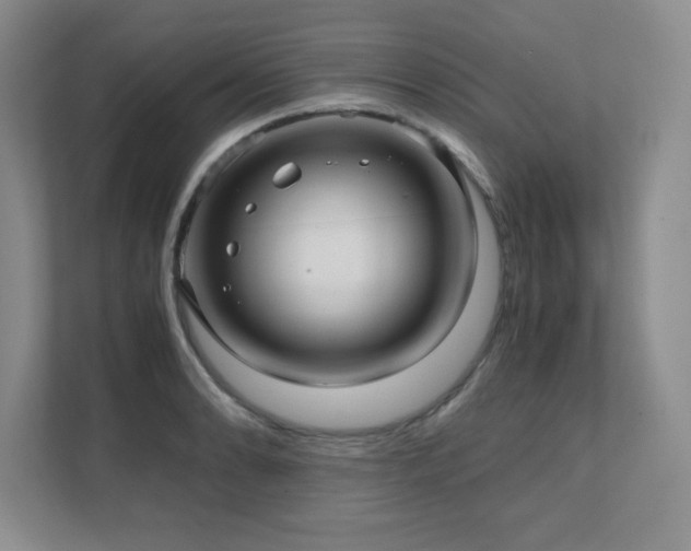 X0000111391086200907101141