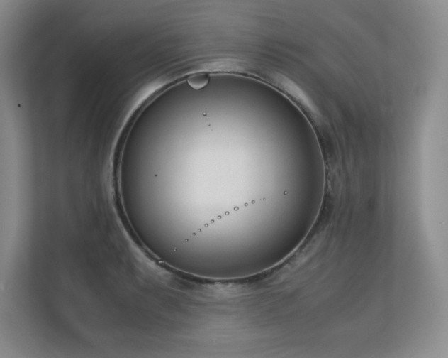 X0000111391087200907101141