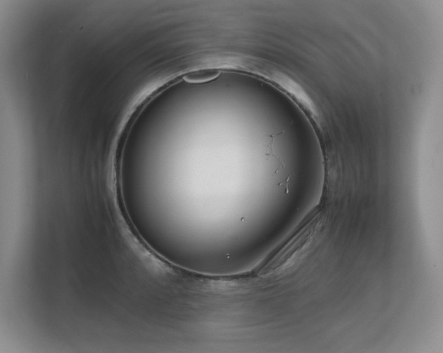 X0000111391088200907101141