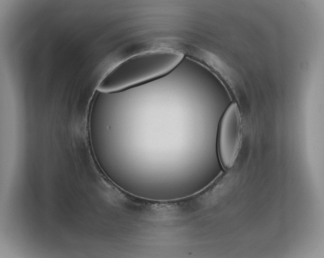X0000111391089200907101141