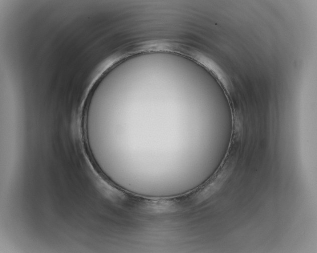 X0000111391090200907101141