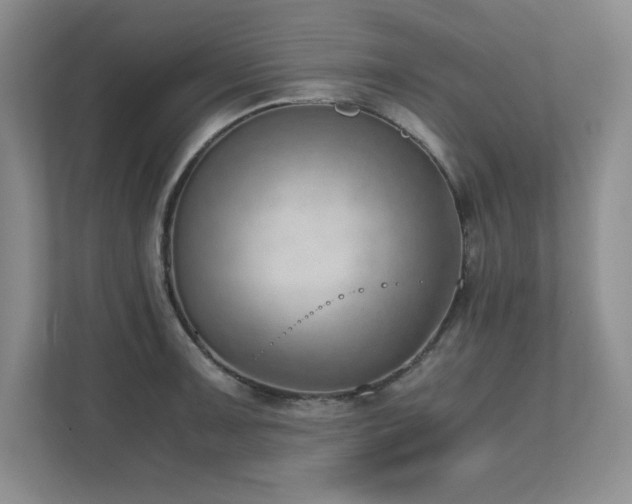 X0000111391091200907101141