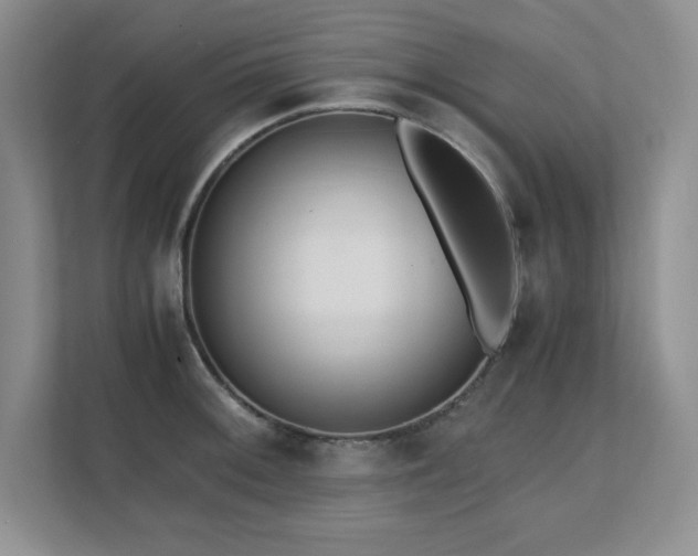 X0000111391092200907101141
