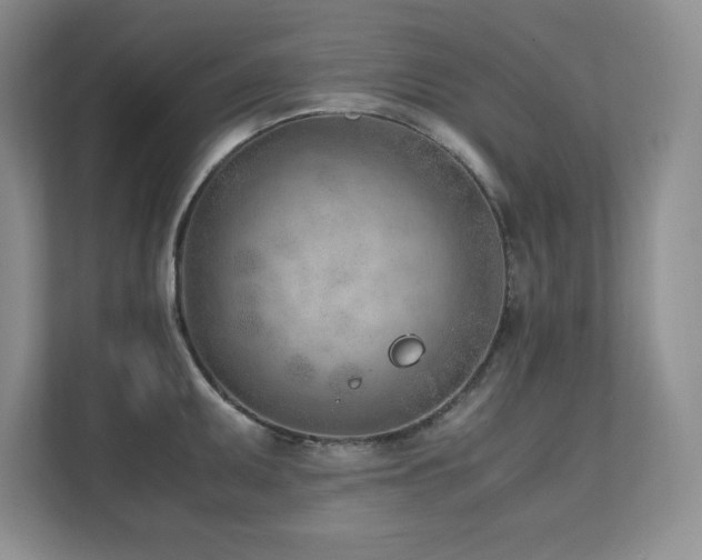 X0000111391095200907101141
