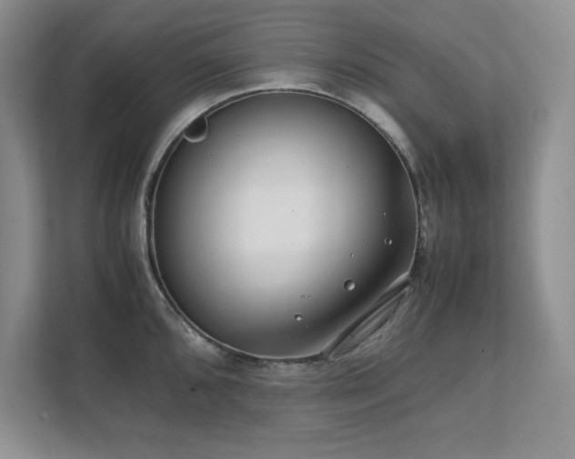 X0000111391096200907101141
