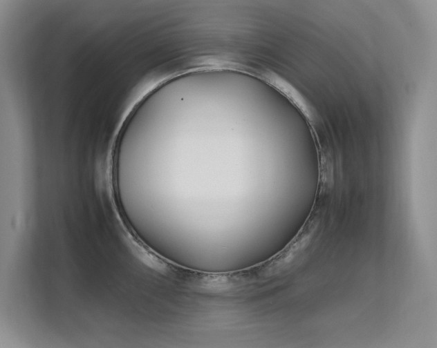 X0000111391098200907101141