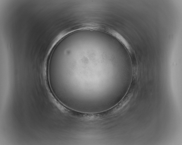 X0000111391099200907101141
