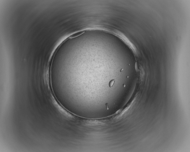 X0000111391100200907101141