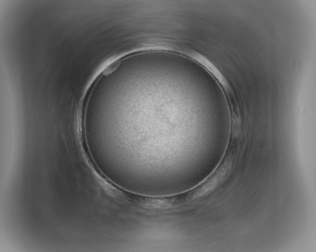 X0000111391101200907101141