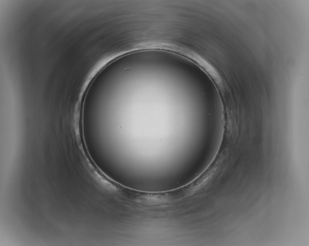 X0000111391102200907101141