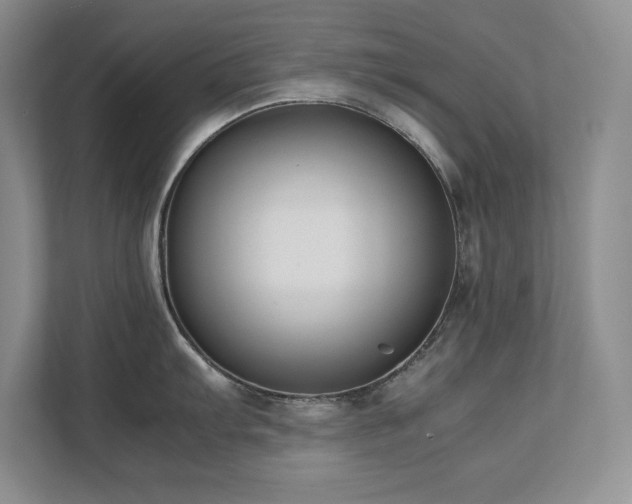 X0000111391103200907101141