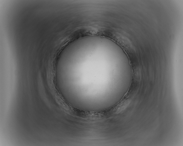 X0000111391105200907101140