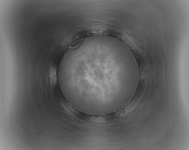 X0000111391106200907101140