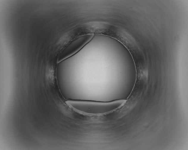 X0000111391108200907101141