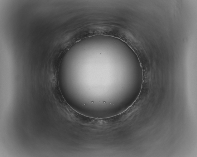 X0000111391109200907101141