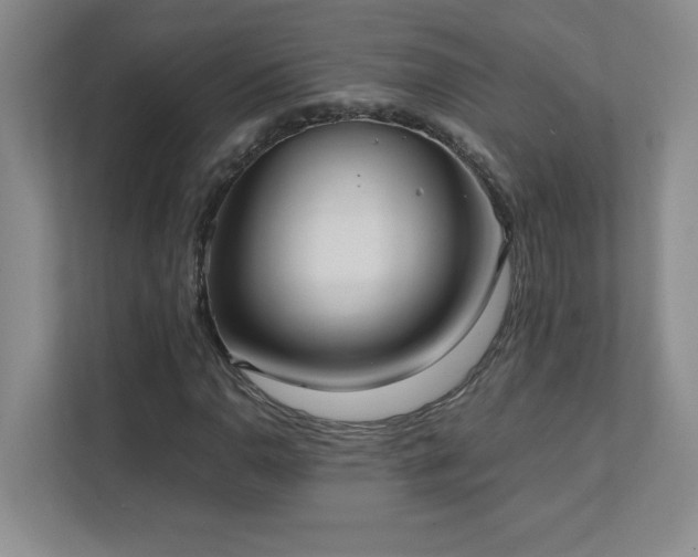 X0000111391110200907101141
