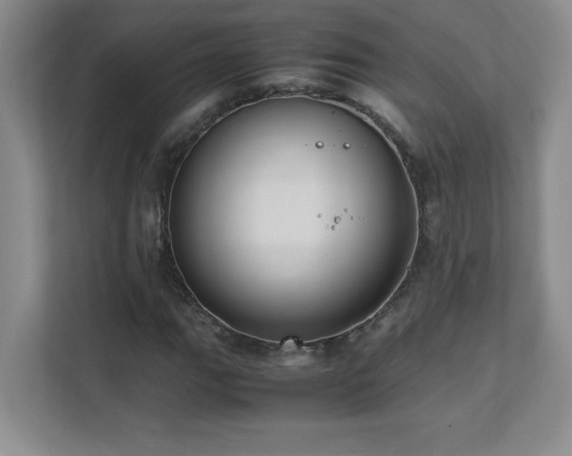 X0000111391111200907101141