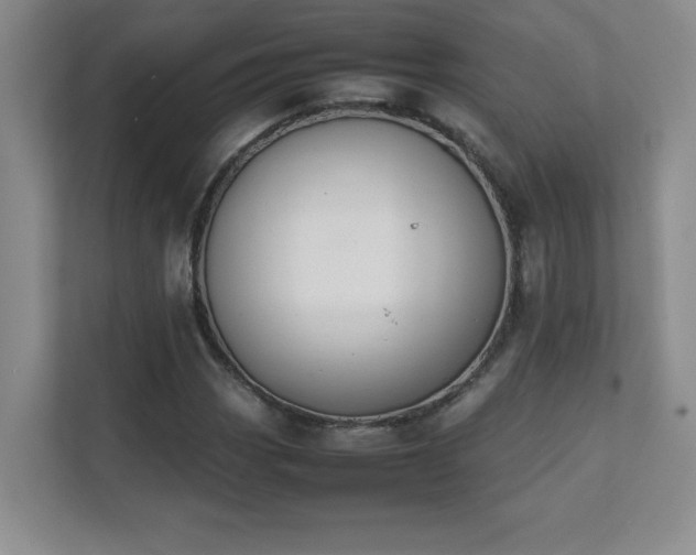 X0000111391113200907101141