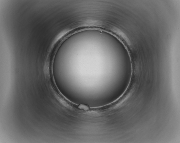 X0000111391114200907101141