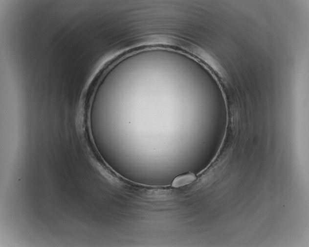 X0000111391116200907101141