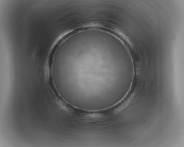 X0000111391117200907101141