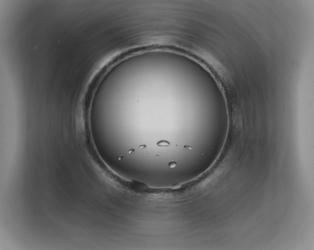 X0000111391118200907101141
