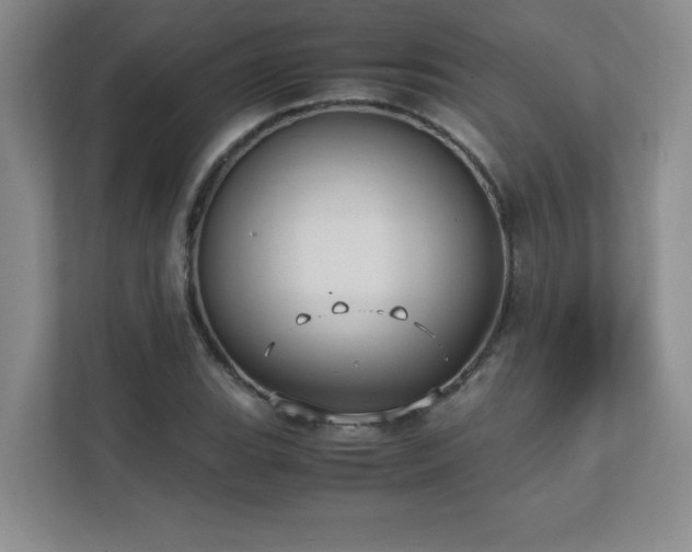 X0000111391119200907101141