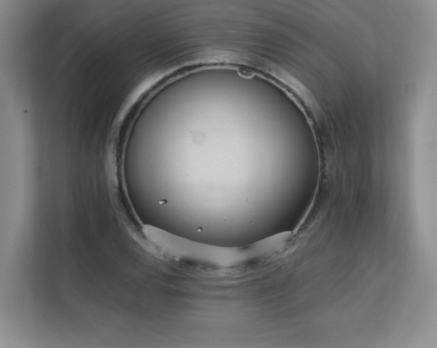 X0000111391120200907101141