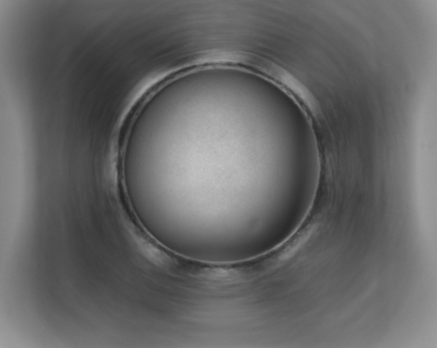 X0000111391124200907101141
