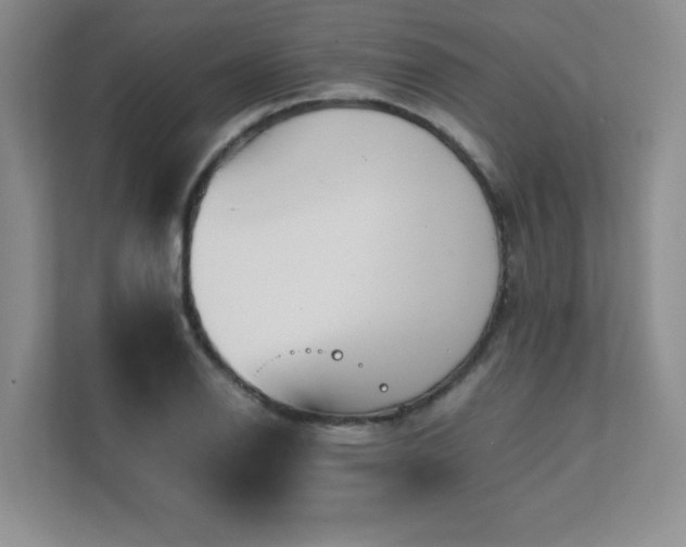 X0000111391126200907101141