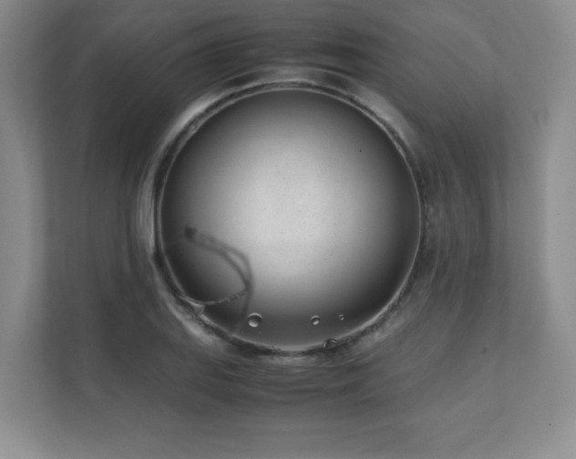 X0000111391127200907101141