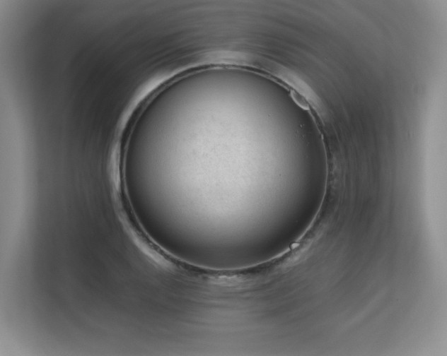 X0000111391128200907101141