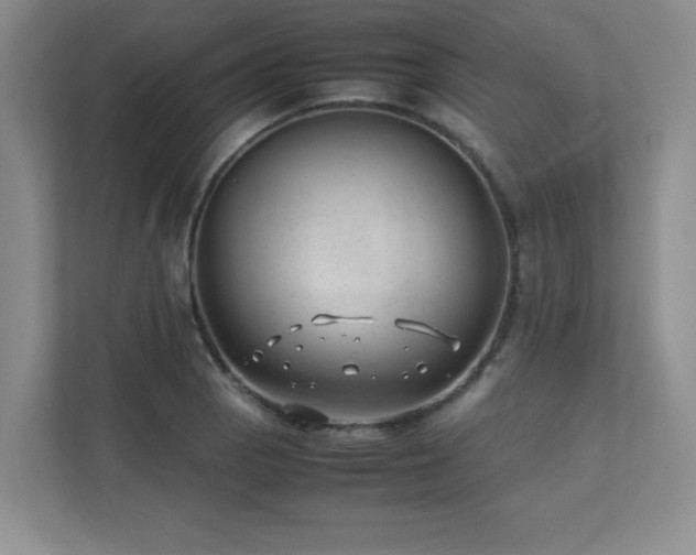 X0000111391129200907101141