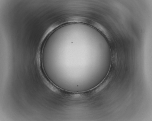 X0000111391130200907101141