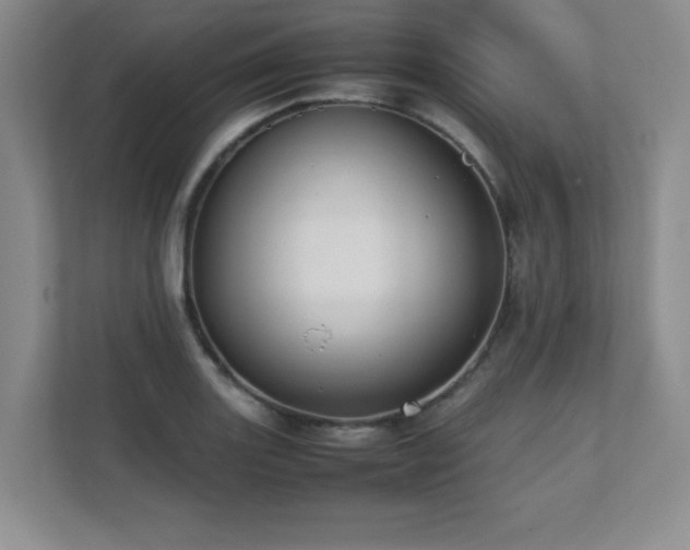 X0000111391131200907101141