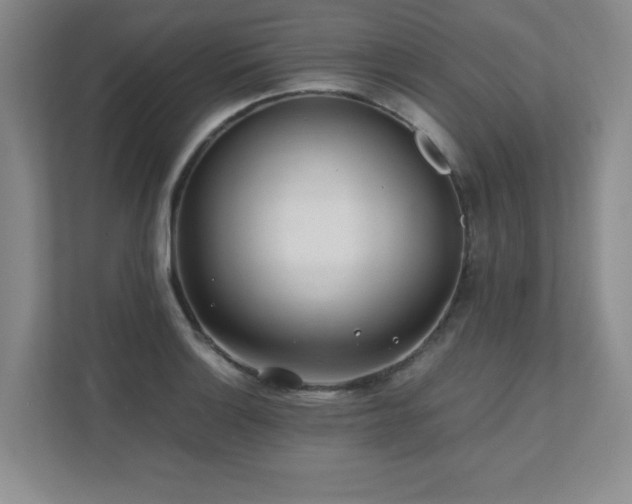 X0000111391132200907101141