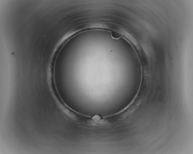X0000111391133200907101141