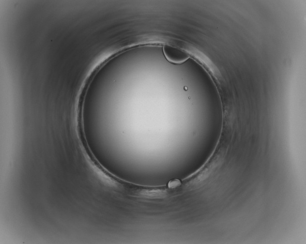 X0000111391135200907101141