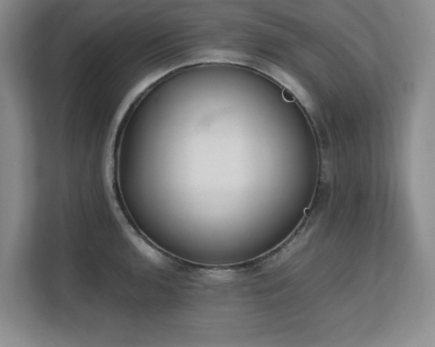 X0000111391136200907101141