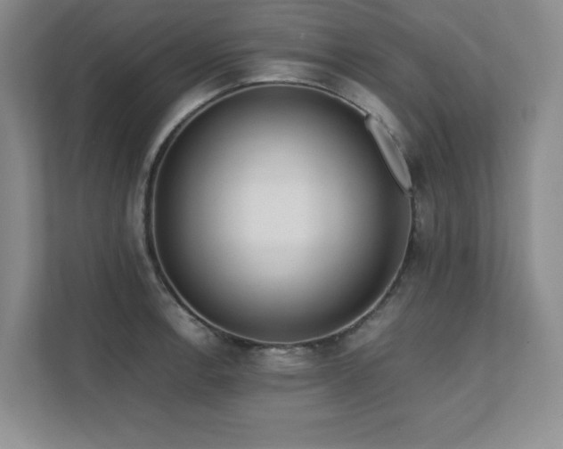 X0000111391138200907101141