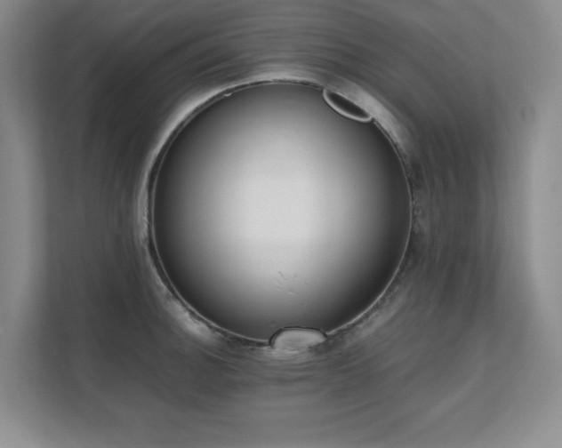 X0000111391140200907101141