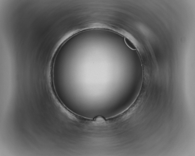 X0000111391142200907101141