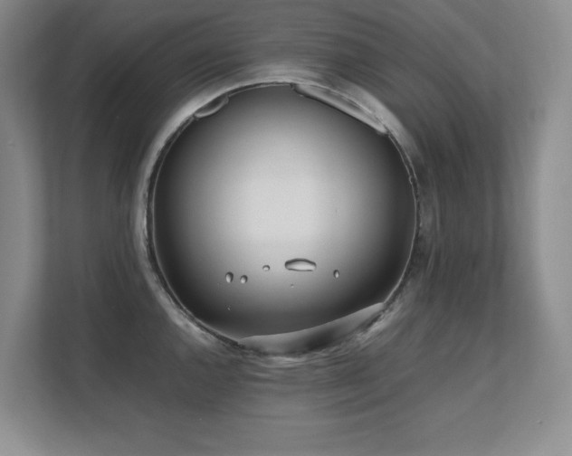 X0000111391144200907101141