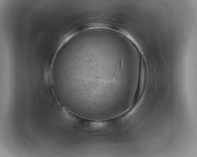 X0000111391145200907101141